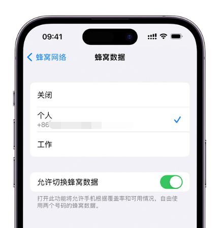 铁门关苹果维修服务分享如何在iPhone上使用双卡 